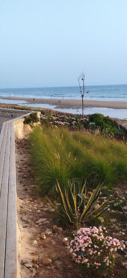 Apartamento Appart Oubaha Tamrakht Taghazout Agadir Habitación foto