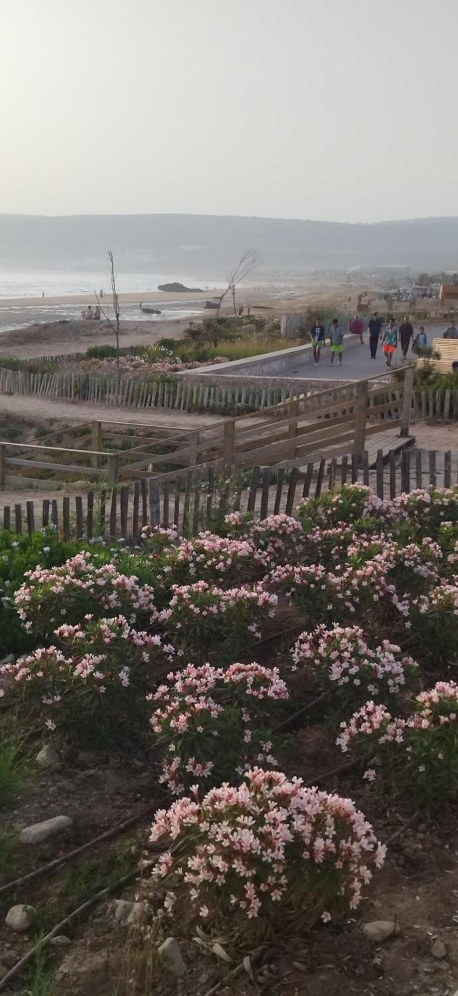 Apartamento Appart Oubaha Tamrakht Taghazout Agadir Habitación foto