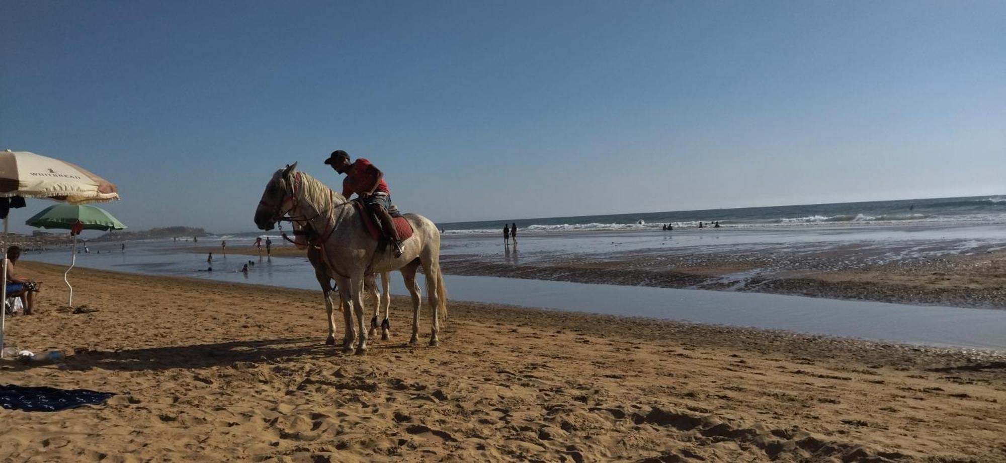 Apartamento Appart Oubaha Tamrakht Taghazout Agadir Habitación foto